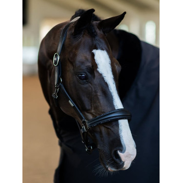 Licol en cuir Equestrian Stockholm anatomic scintillant Noir edition
