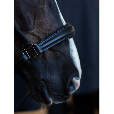 Licol en cuir Equestrian Stockholm anatomic scintillant Noir edition