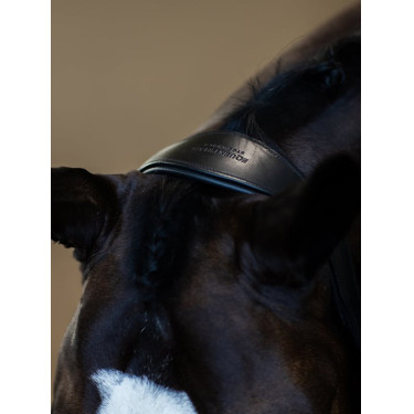 Licol en cuir Equestrian Stockholm anatomic scintillant Noir edition