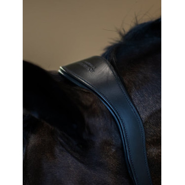 Licol en cuir Equestrian Stockholm anatomic scintillant Noir edition