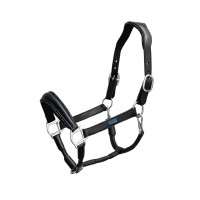 Licol en cuir Equestrian Stockholm anatomic scintillant Prairie bleu