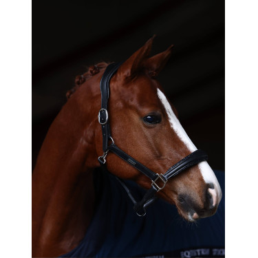 Licol en cuir Equestrian Stockholm anatomic scintillant Prairie bleu