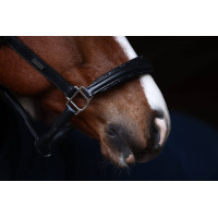 Licol en cuir Equestrian Stockholm anatomic scintillant Prairie bleu