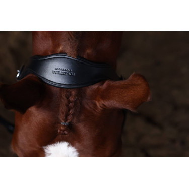 Equestrian Stockholm anatomisch glinsterend lederen halster Prarie blauw