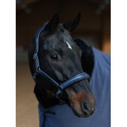 Licol en cuir Equestrian Stockholm anatomic scintillant Venise sombre Bleu