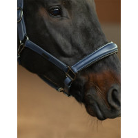 Licol en cuir Equestrian Stockholm anatomic scintillant Venise sombre Bleu