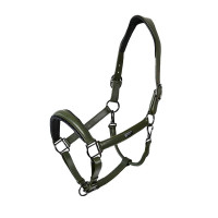 Licol en cuir Equestrian Stockholm anatomic scintillant Vallée frappante Vert