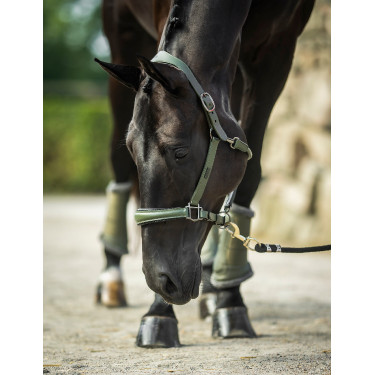 Licol en cuir Equestrian Stockholm anatomic scintillant Vallée frappante Vert