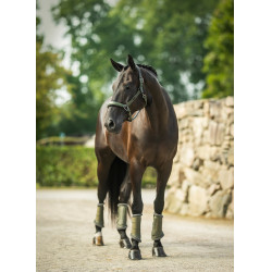 Licol en cuir Equestrian Stockholm anatomic scintillant Vallée frappante Vert