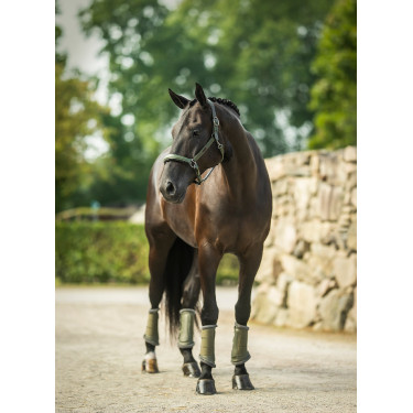 Licol en cuir Equestrian Stockholm anatomic scintillant Vallée frappante Vert