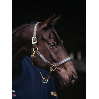 Lederen halster en lijn Equestrian Stockholm met ketting Zweedse natie