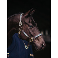 Licol et longe en cuir Equestrian Stockholm chain Marine Bleu marine