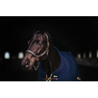 Licol et longe en cuir Equestrian Stockholm chain Nation suédoise Bleu marine
