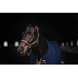 Licol et longe en cuir Equestrian Stockholm chain Nation suédoise Bleu marine