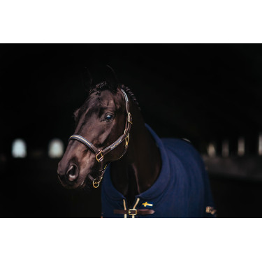 Licol et longe en cuir Equestrian Stockholm chain Nation suédoise Bleu marine