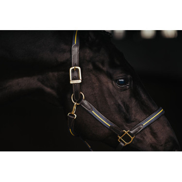 Licol et longe en cuir Equestrian Stockholm chain Nation suédoise Bleu marine