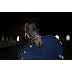 Licol et longe en cuir Equestrian Stockholm chain Nation suédoise Bleu marine