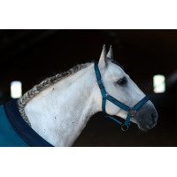 Licol et longe Equestrian Stockholm Bleu aurore
