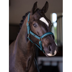 Licol en cuir Equestrian Stockholm anatomic scintillant Teal blue Bleu Licol en cuir Equestrian Stockholm anatomic scintillant Teal blue Bleu