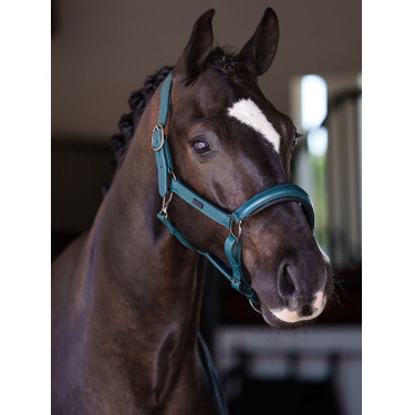 Licol en cuir Equestrian Stockholm anatomic scintillant Teal blue Bleu Licol en cuir Equestrian Stockholm anatomic scintillant Teal blue Bleu
