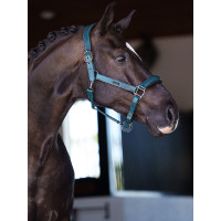 Licol en cuir Equestrian Stockholm anatomic scintillant Teal blue Bleu Licol en cuir Equestrian Stockholm anatomic scintillant Teal blue Bleu