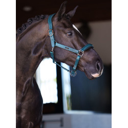 Licol en cuir Equestrian Stockholm anatomic scintillant Teal blue Bleu Licol en cuir Equestrian Stockholm anatomic scintillant Teal blue Bleu