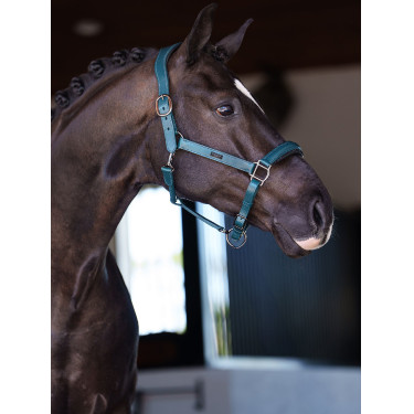 Licol en cuir Equestrian Stockholm anatomic scintillant Teal blue Bleu Licol en cuir Equestrian Stockholm anatomic scintillant Teal blue Bleu