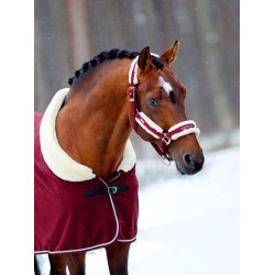 Licol et longe Equestrian Stockholm avec fourrure Bordeaux Licol et longe Equestrian Stockholm avec fourrure Bordeaux