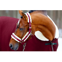 Licol et longe Equestrian Stockholm avec fourrure Bordeaux Licol et longe Equestrian Stockholm avec fourrure Bordeaux