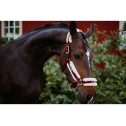 Halster en leadrope Equestrian Stockholm met bont Bordeaux Halster en leadrope Equestrian Stockholm met bont Bordeaux