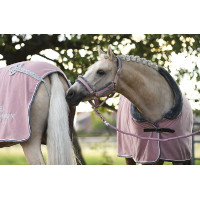 Halster en leadrope Equestrian Stockholm met bont Roze
