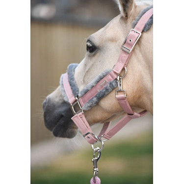 Licol et longe Equestrian Stockholm avec fourrure Rose