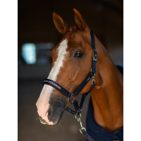 Licol et longe Equestrian Stockholm plat Marine modern tech