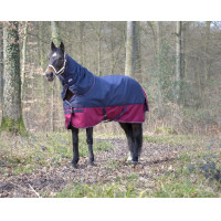 Couvre-cou Equithème Tyrex 1200 D 0g Marine / bordeaux Bleu Couvre-cou Equithème Tyrex 1200 D 0g Marine / bordeaux Bleu