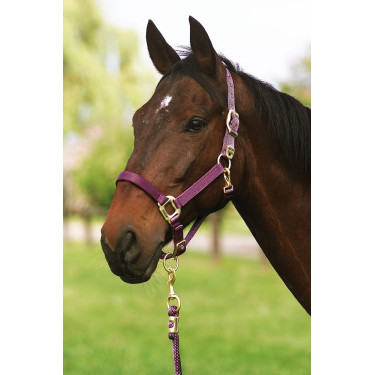Licol Equithème Nylon Violet