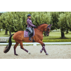 Pantalon d'équitation Equestrian Stockholm Elite femme Gris Pantalon d'équitation Equestrian Stockholm Elite femme Gris