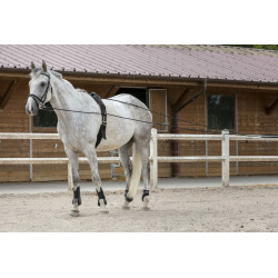 Longues rênes Riding World cuir / corde Longues rênes Riding World cuir / corde