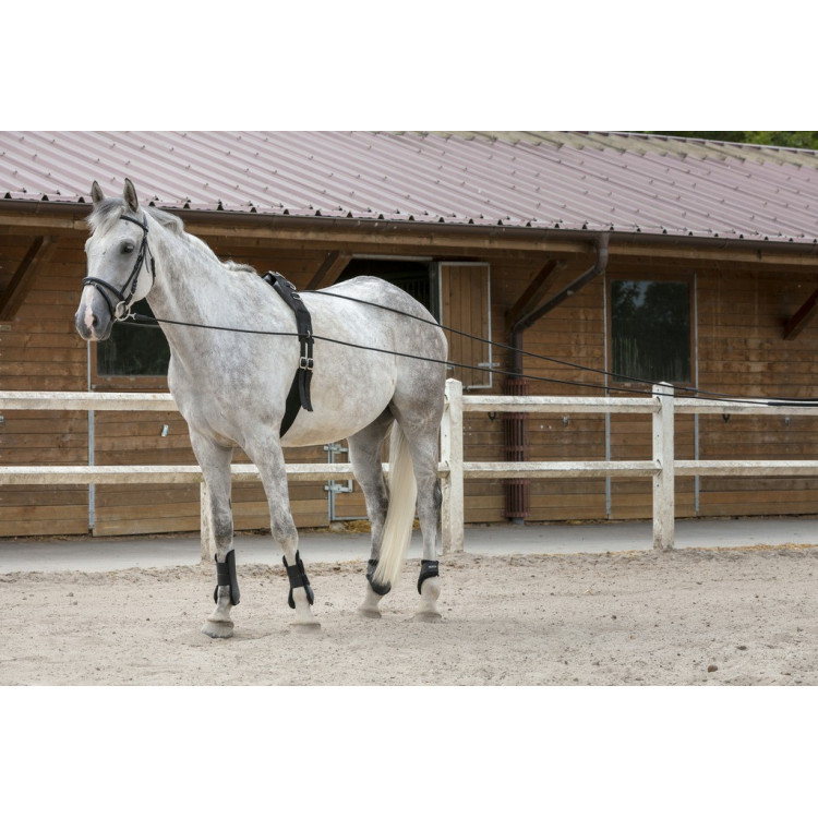 Longues rênes Riding World cuir / corde Longues rênes Riding World cuir / corde