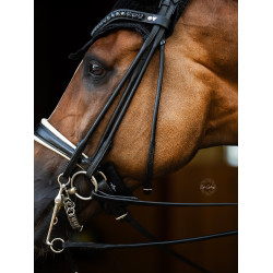 Protection de muserolle Equestrian Stockholm