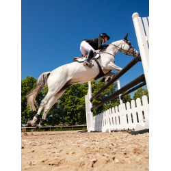 Protèges-boulets Equestrian Stockholm anatomic Noir edition