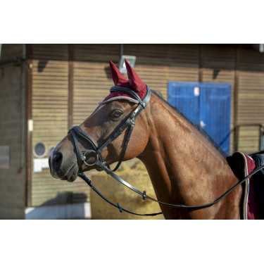 Bonnet chasse-mouches Equithème Polyfun