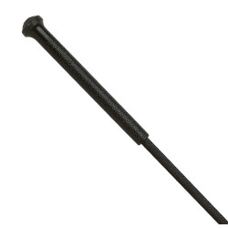 Aanspan- en trainingszweep WHIP & GO