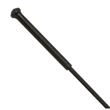 Aanspan- en trainingszweep WHIP & GO