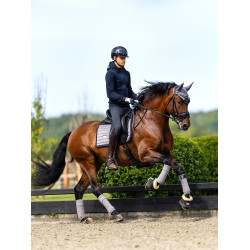 Dressuurdekje Equestrian Stockholm Performance Sportieve blauwe essenhout Dressuurdekje Equestrian Stockholm Performance Sportieve blauwe essenhout