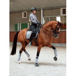 Dressuurdekje Equestrian Stockholm Performance Sportieve blauwe essenhout Dressuurdekje Equestrian Stockholm Performance Sportieve blauwe essenhout