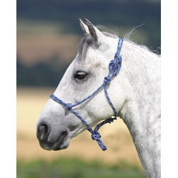 Licol éthologique Shires Marine / blanc Bleu Licol éthologique Shires Marine / blanc Bleu