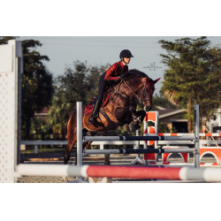 Equestrian Stockholm springzadelpad Bordeaux