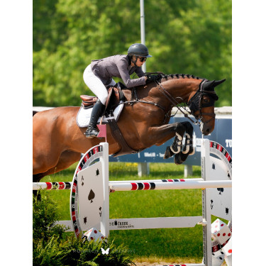 Tapis de selle Equestrian Stockholm jumping Modern Blanc violet sombre
