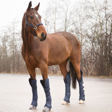 Spirit Shipping transportbeschermers Horze Spirit Shipping transportbeschermers Horze
