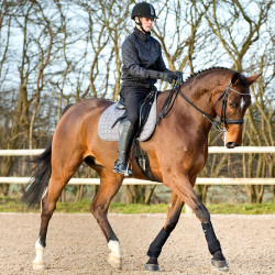 Neopreen beenbeschermers Horze Supreme Zwart Neopreen beenbeschermers Horze Supreme Zwart